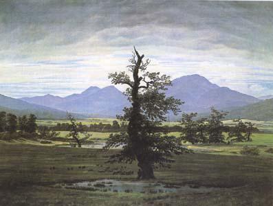 Caspar David Friedrich The Lone Tree oil painting image